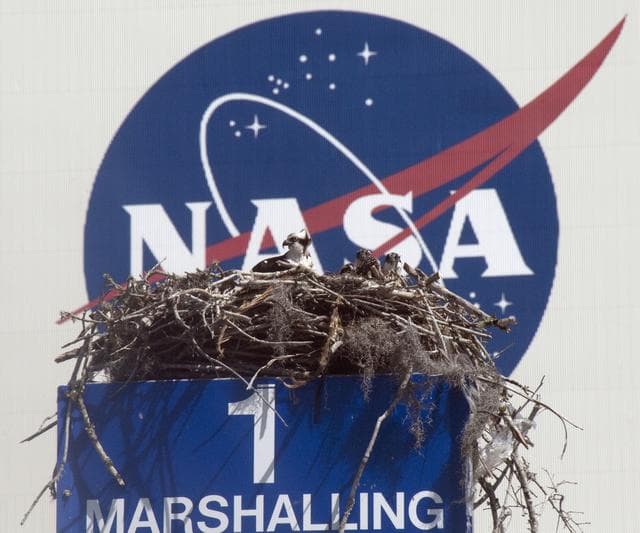 NASA image: 2010-2738