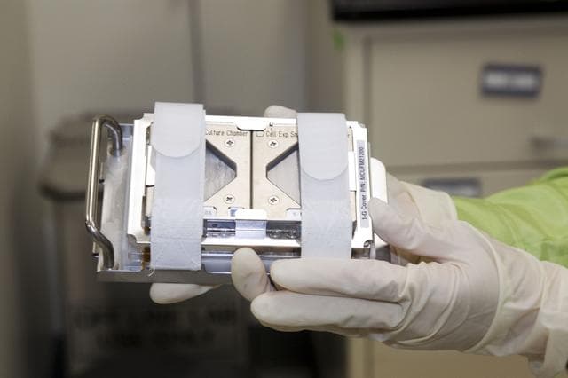 NASA image: 2010-3225