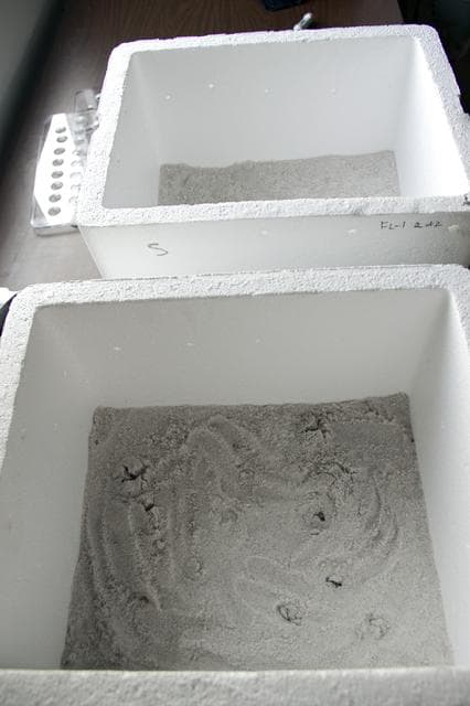NASA image: 2010-4014