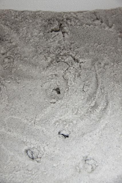 NASA image: 2010-4015