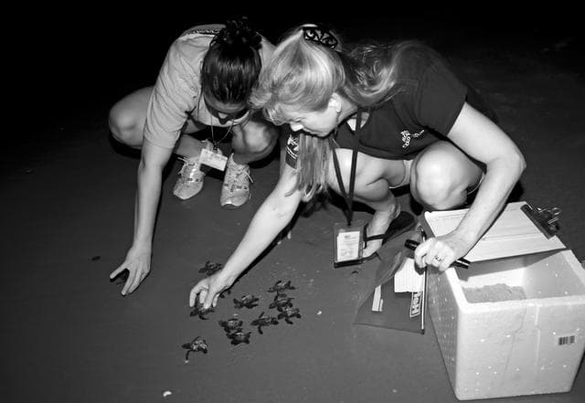 NASA image: 2010-4034
