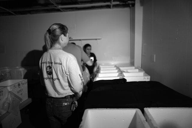 NASA image: 2010-4246