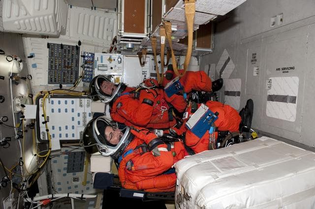 NASA image: 2010-5204