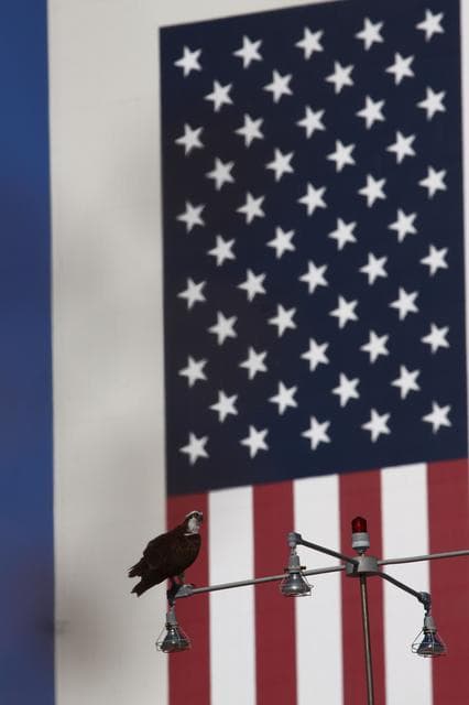 NASA image: 2010-5736