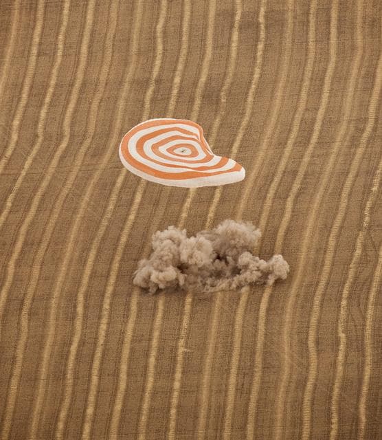 NASA image: Expedition 24 Soyuz Landing