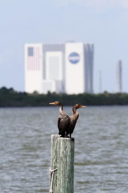 NASA image: KSC-2011-7184