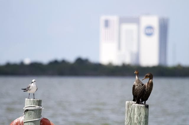 NASA image: KSC-2011-7185