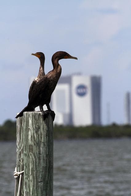 NASA image: KSC-2011-7188