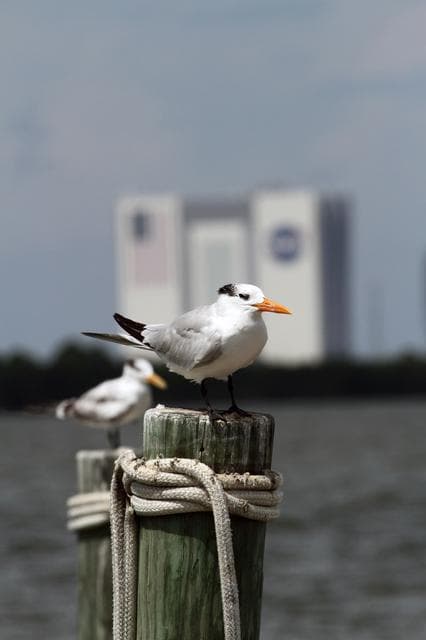 NASA image: KSC-2011-7189
