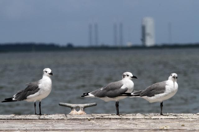 NASA image: KSC-2011-7192