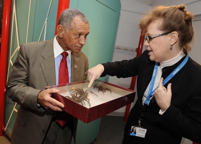 NASA image: Bolden STEM Event