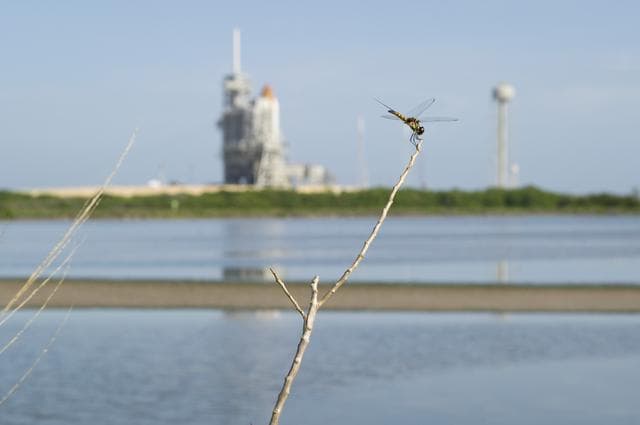 NASA image: STS-135 Launch Countdown