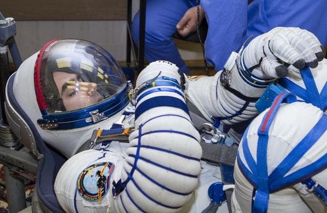 NASA image: Expedition 33 Crew Suitup