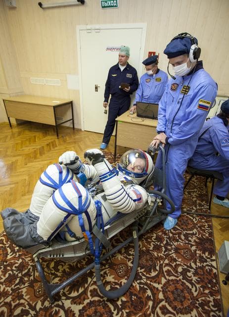 NASA image: Expedition 33 Crew Suitup