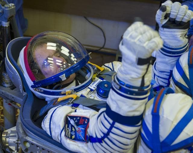 NASA image: Expedition 34 Preflight