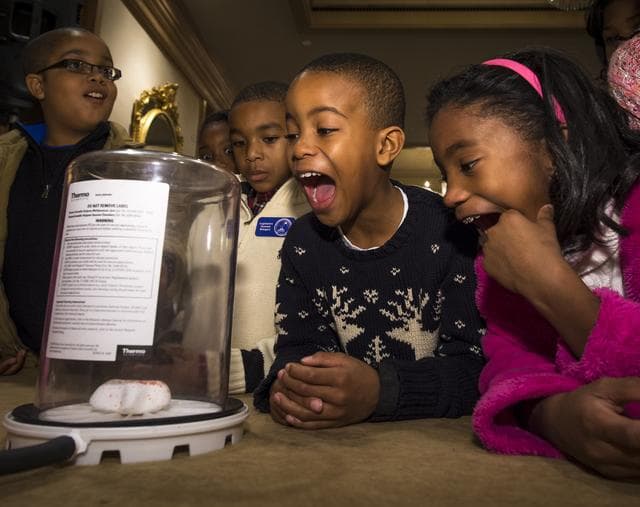 NASA image: NASA STEM Event