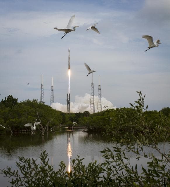 MAVEN Atlas V Launch