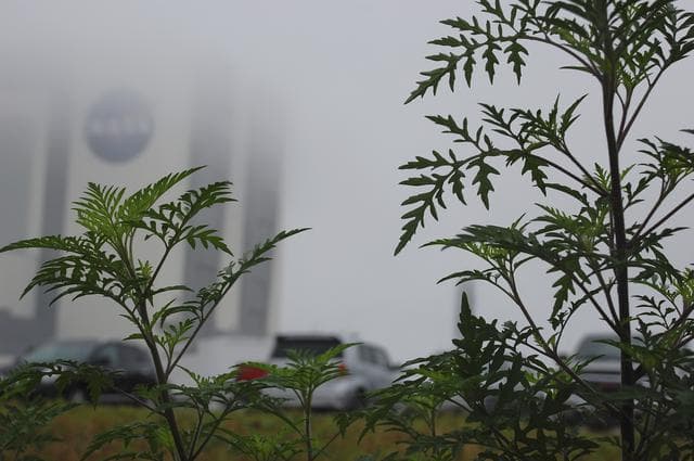 NASA image: KSC-2014-1341