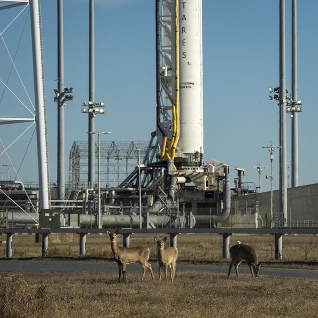 NASA image: Antares Rocket Preparation