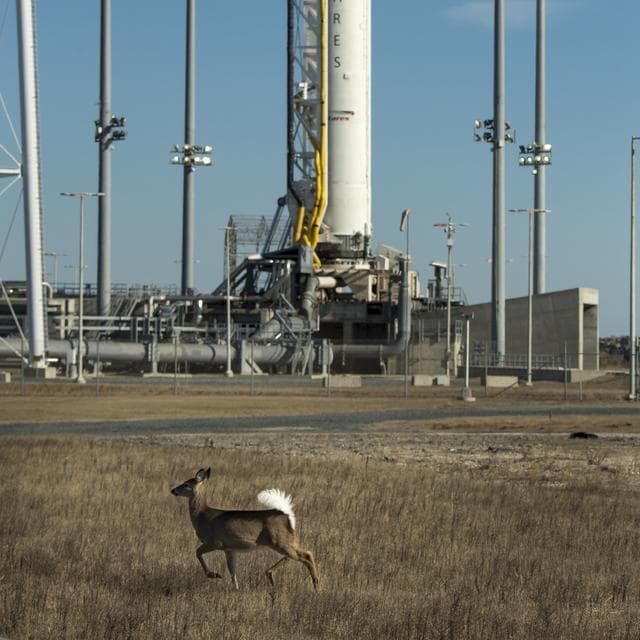 NASA image: Antares Rocket Preparation