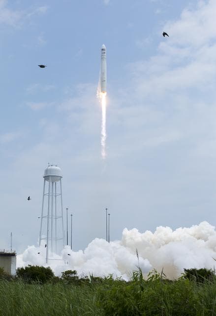 NASA image: Antares Orbital-2 Mission Launch