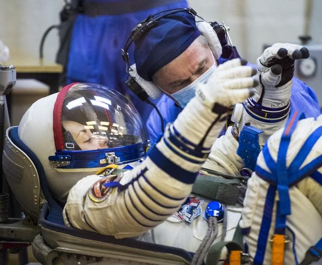 NASA image: Expedition 41 Pressure Check