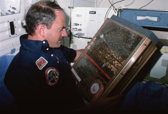 NASA image: Astronaut James D. van Hoften examines student experiment on Challenger