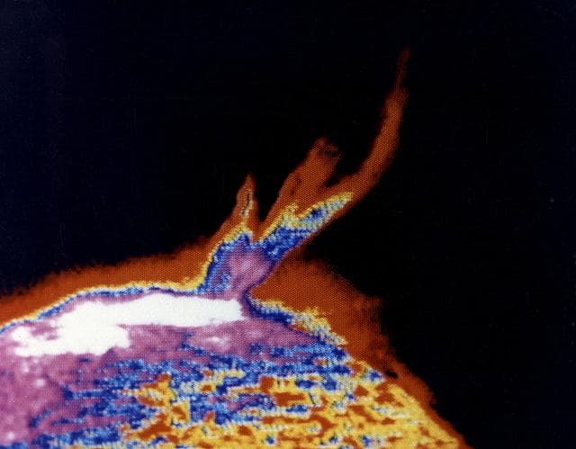 NASA image: Skylab