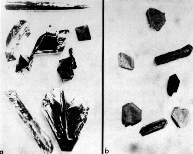 NASA image: Microgravity