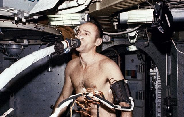NASA image: Skylab