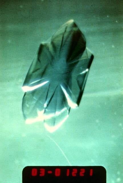 NASA image: Microgravity