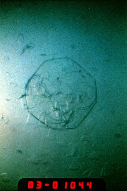 NASA image: Microgravity