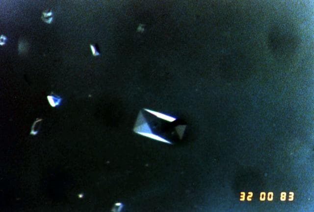 NASA image: Microgravity