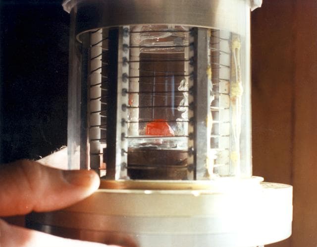 NASA image: Microgravity