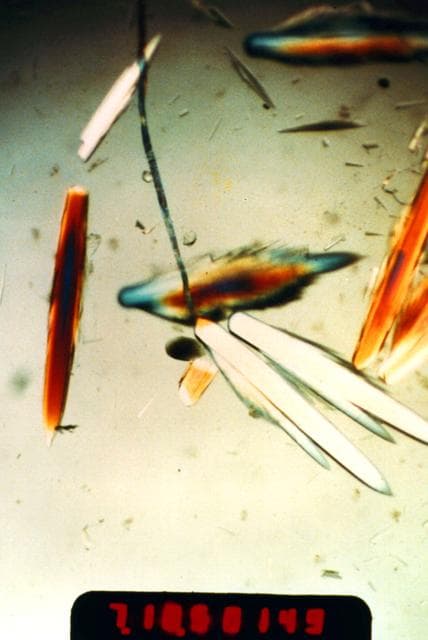 NASA image: Microgravity