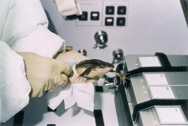 NASA image: Spacelab