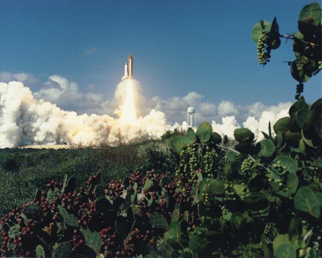 NASA image: KSC-93pc-1370