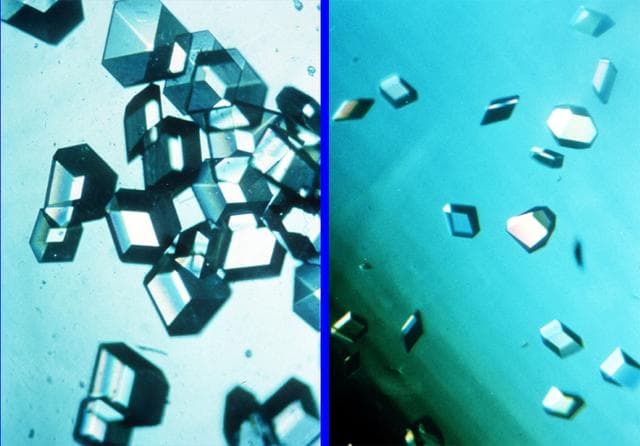 NASA image: Microgravity