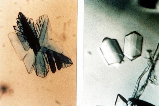 NASA image: Microgravity