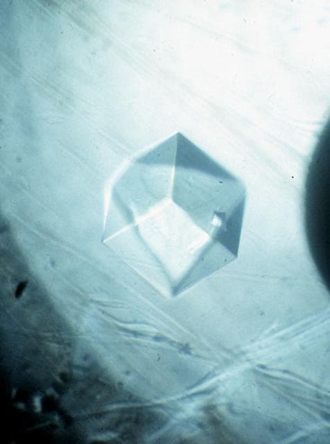 NASA image: Microgravity