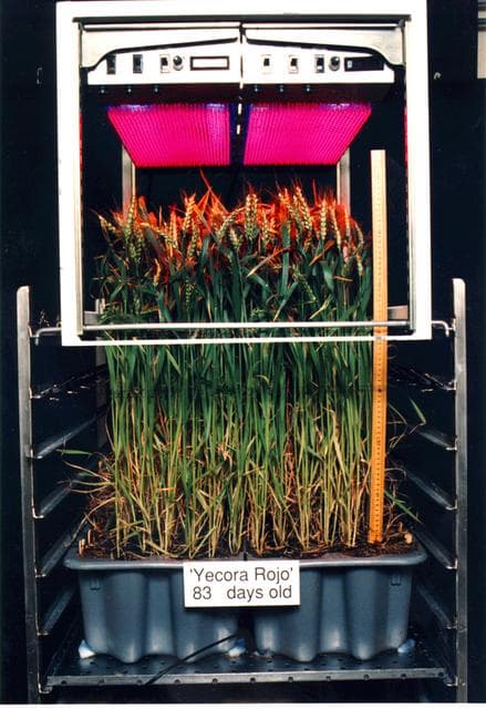 NASA image: Microgravity