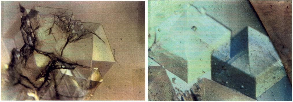 NASA image: Microgravity
