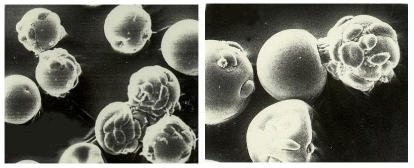 NASA image: Microgravity