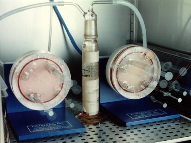 Microgravity
