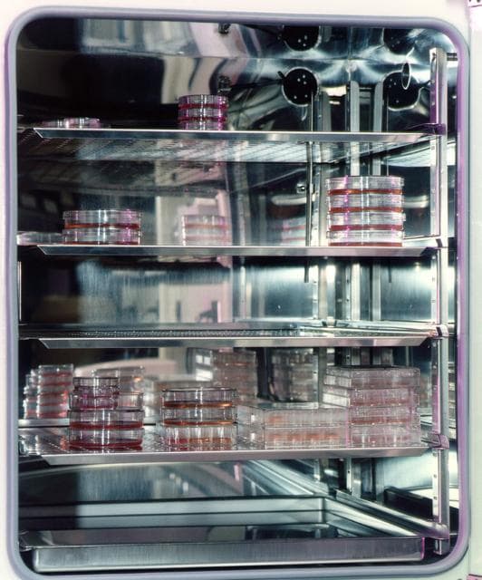 NASA image: Microgravity