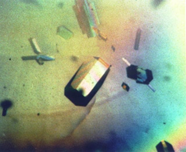 NASA image: Microgravity