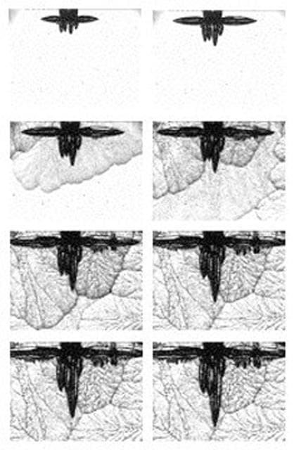 Microgravity