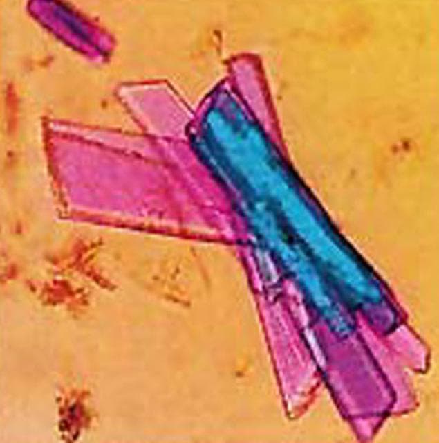 NASA image: Microgravity