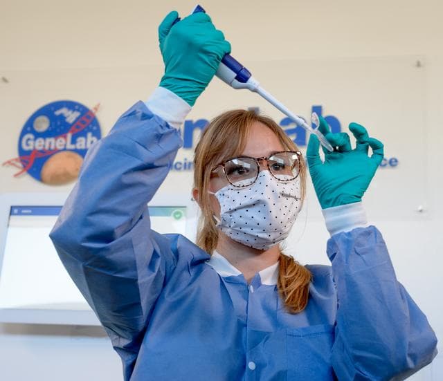 NASA image: Rodent Research-10 Lab Activities 