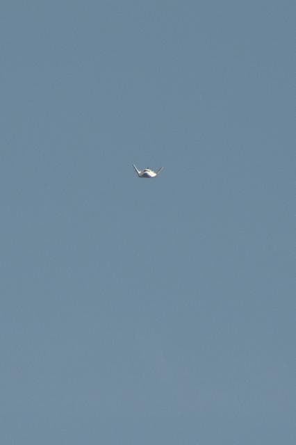 NASA image: Dream Chaser ALT-2 Free Flight